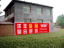 溧阳如何让墙体广告展现最大化效果