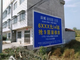 溧阳墙体广告质量分析