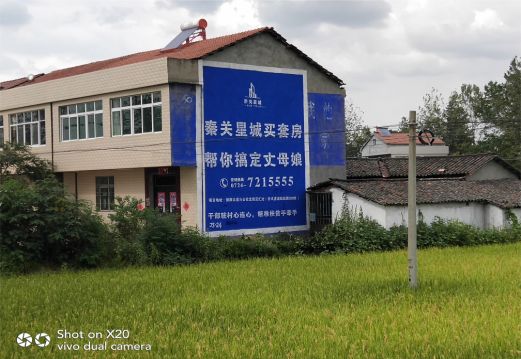 溧阳决定墙体广告价格的因素有哪些?